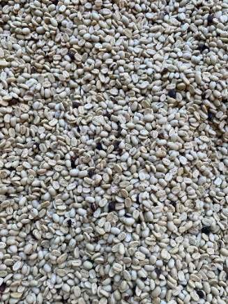 Aroma Madre gallery photo