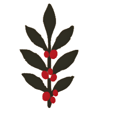 Coffee plant icon